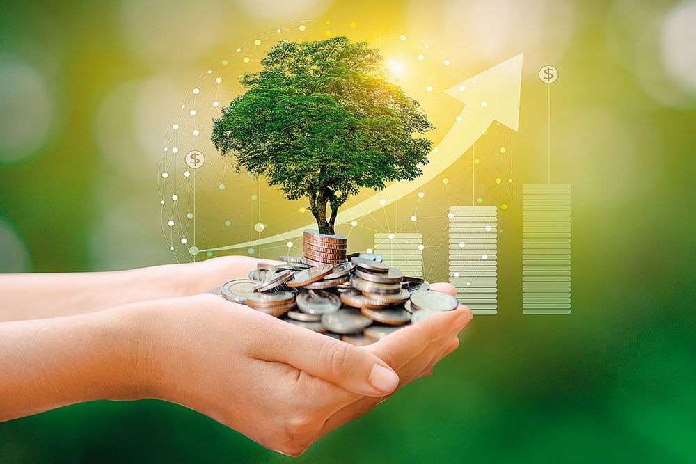 service details image